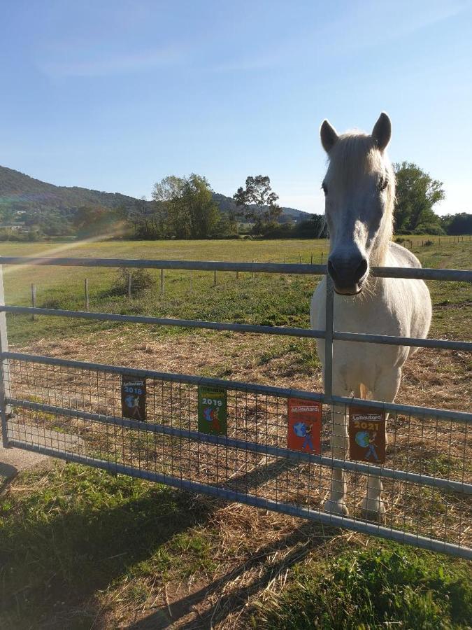 Ferme De Chiuni Villa Cargèse Exteriör bild