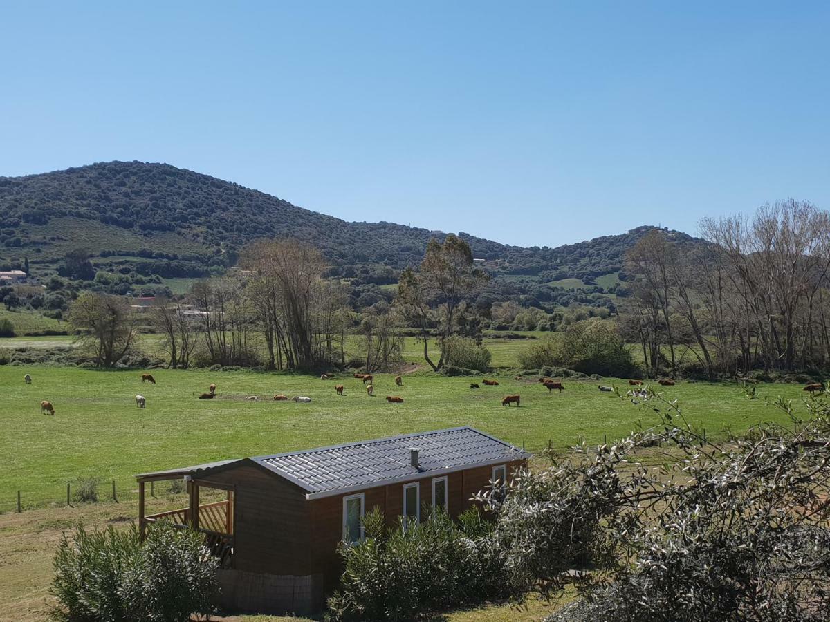 Ferme De Chiuni Villa Cargèse Exteriör bild